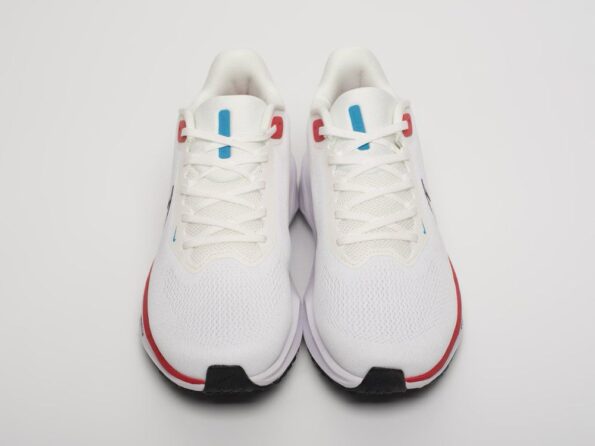 Nike Pegasus 41