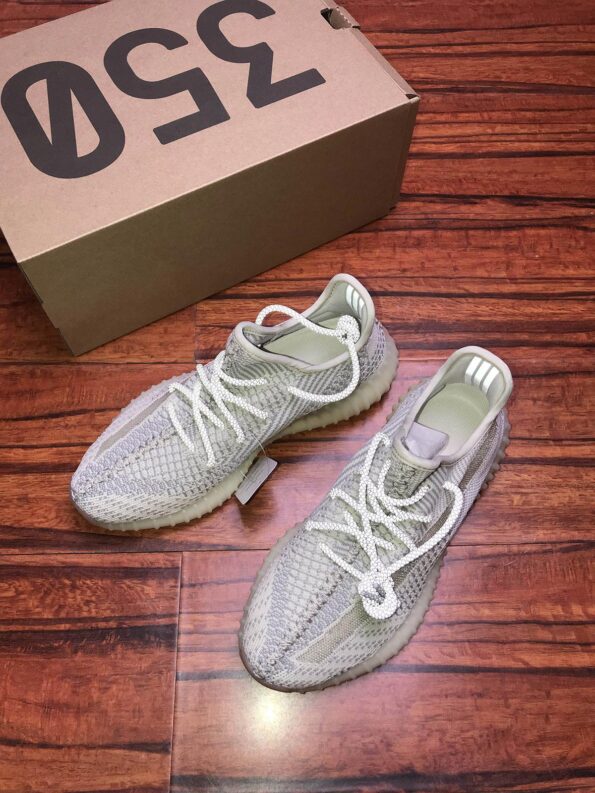 Adidas Yeezy 350 V2 Shoes