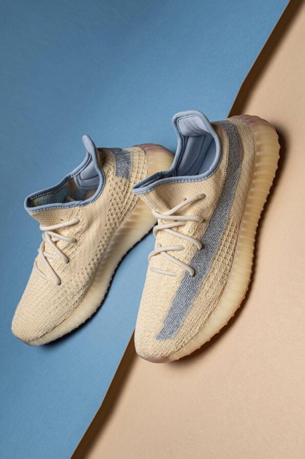 Adidas Yeezy 350 V2 Shoes