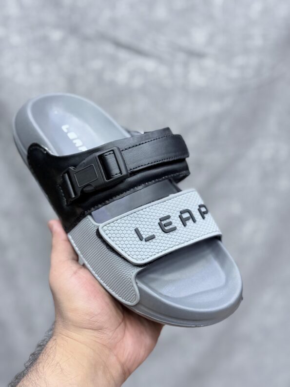 Leap Slides 1