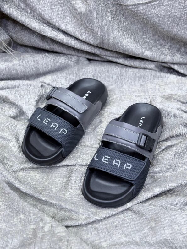 Leap Slides 1