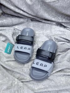 Leap Slides 1