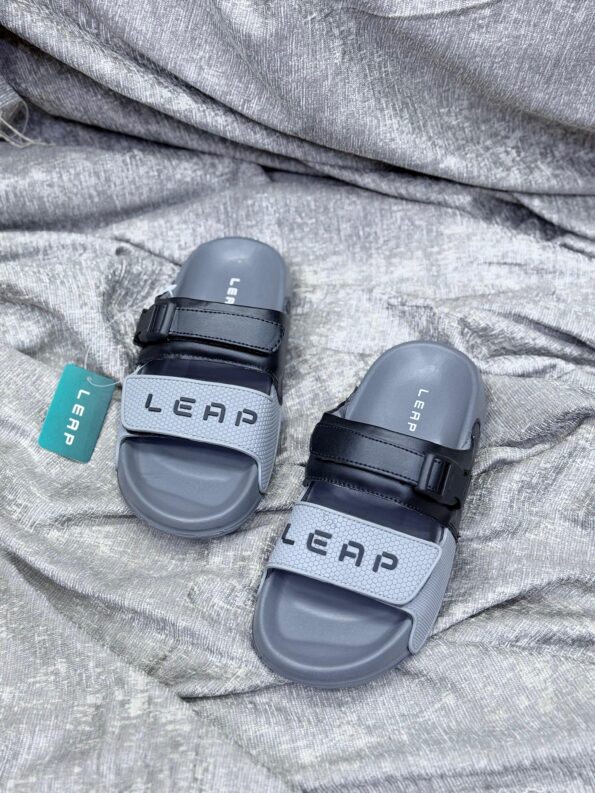 Leap Slides 1